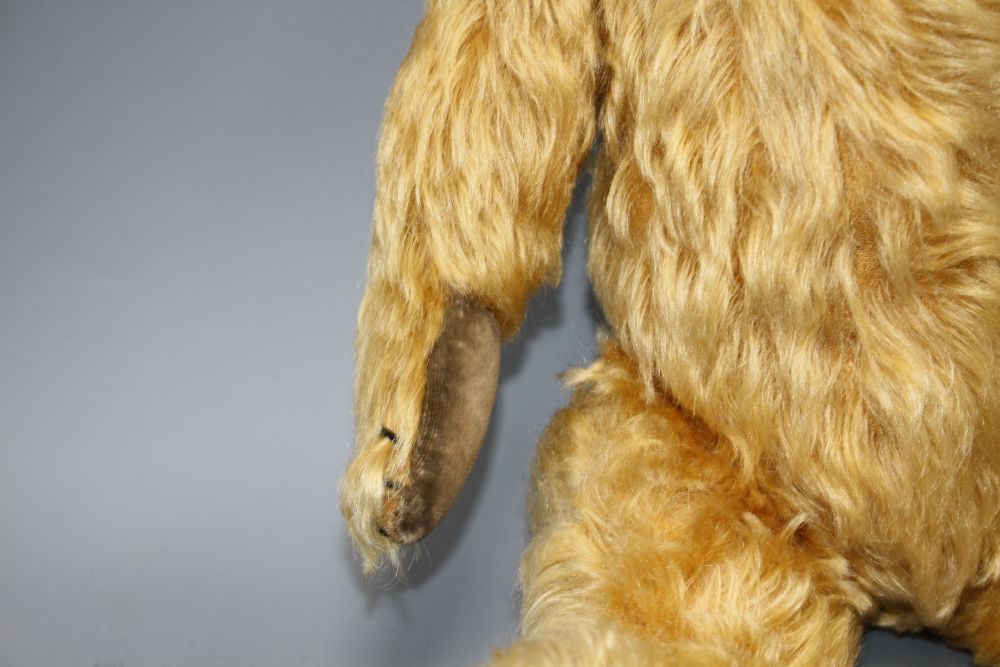 A Chiltern bear, c.1930s, 16in., velvet pads, glass eyes and thick golden mohair